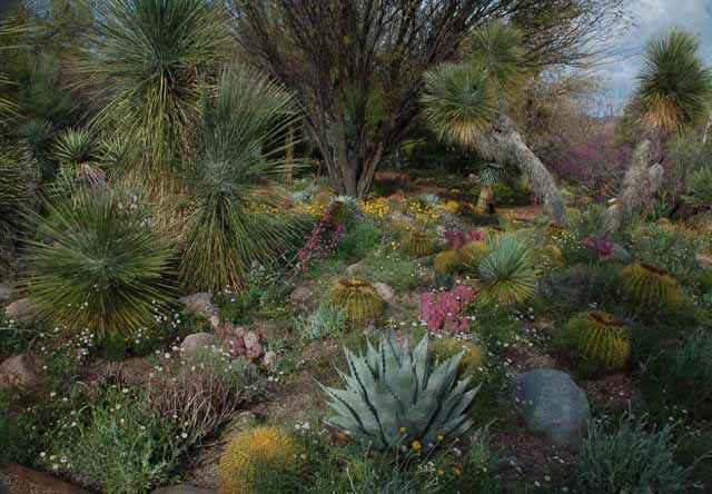 Bortanical Garden, Superior, Arizona